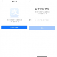 支付宝开放设置支付宝号了！